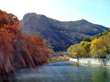 新澳天天开奖资料大全旅游团，牌匾设计软件